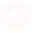 health_icon