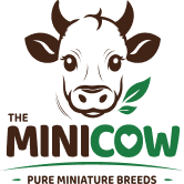 theminicow.com